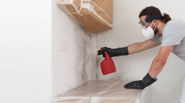 Professional Mold Remediation technician working in Gasport, NY